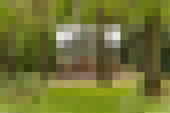 Bovenweg 7 't Harde thumbnail 70