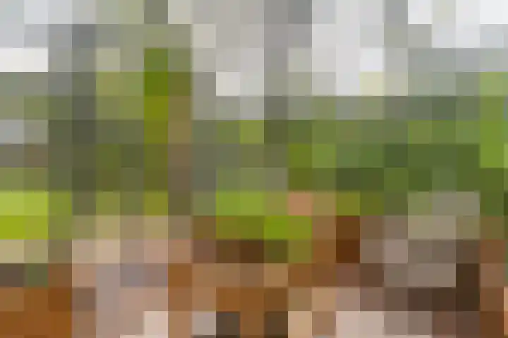Bovenweg 7 't Harde thumbnail 72