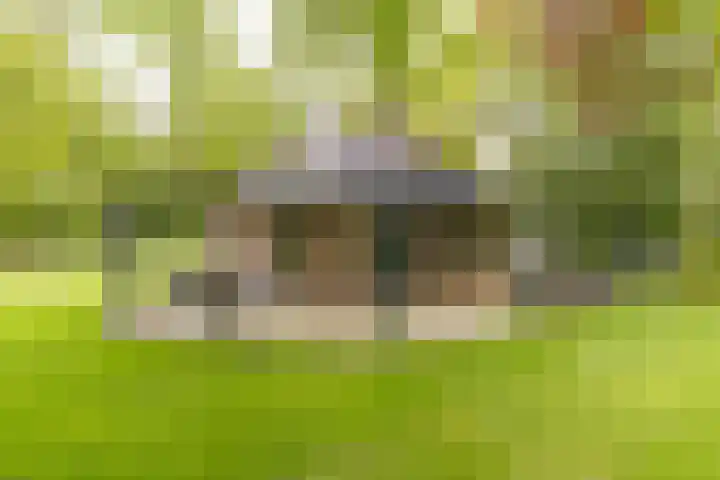 Bovenweg 7 't Harde thumbnail 73