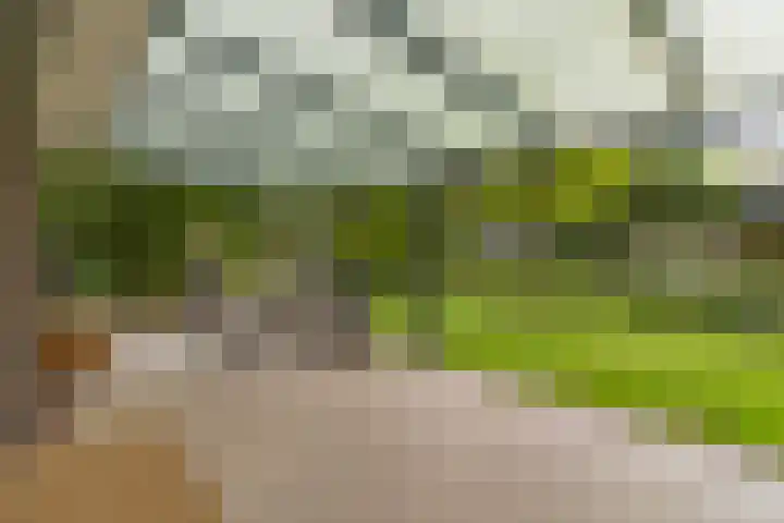 Bovenweg 7 't Harde thumbnail 74