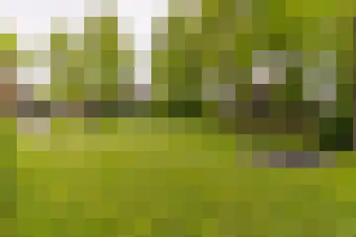 Bovenweg 7 't Harde thumbnail 76