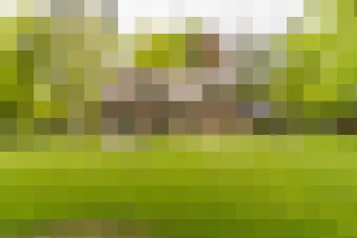 Bovenweg 7 't Harde thumbnail 77