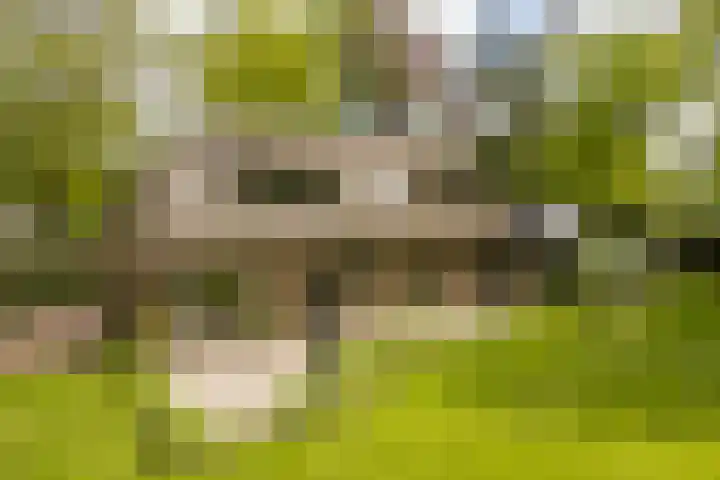 Bovenweg 7 't Harde thumbnail 78