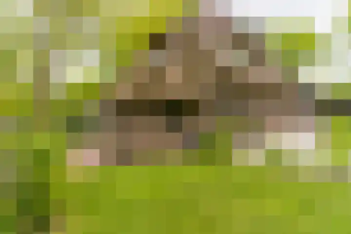 Bovenweg 7 't Harde thumbnail 79