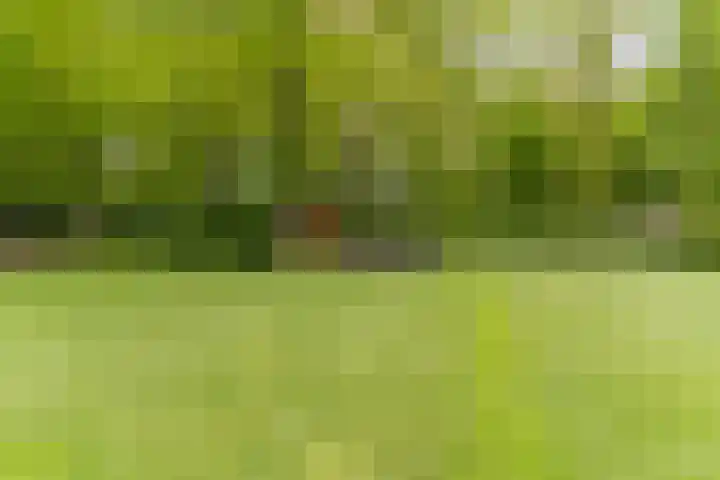Bovenweg 7 't Harde thumbnail 84