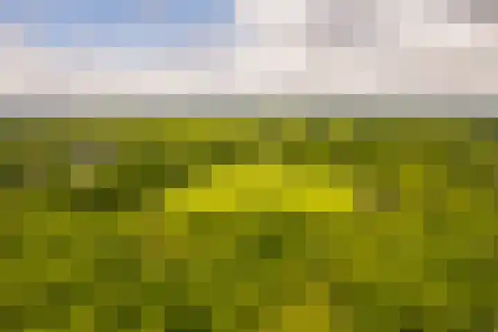 Bovenweg 7 't Harde thumbnail 86
