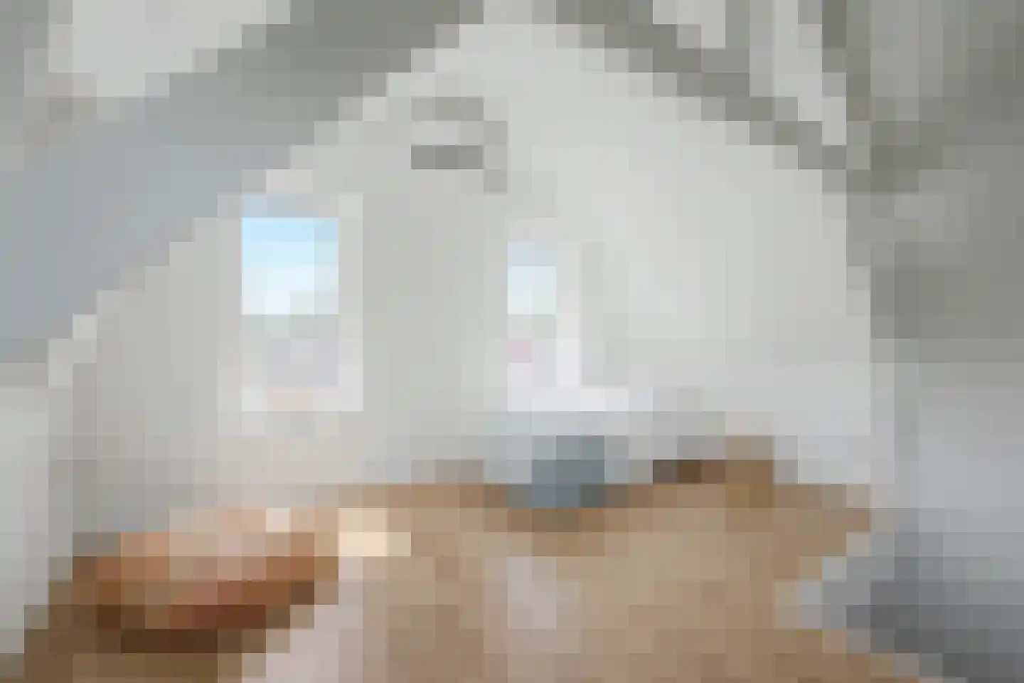 Bovenweg 73 Sluiskil thumbnail 17