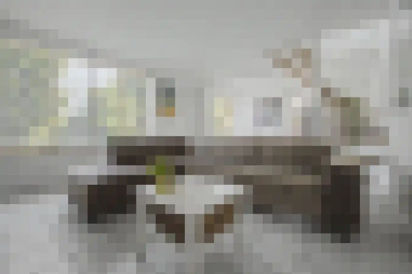Bovenweg 73 Sluiskil thumbnail 6