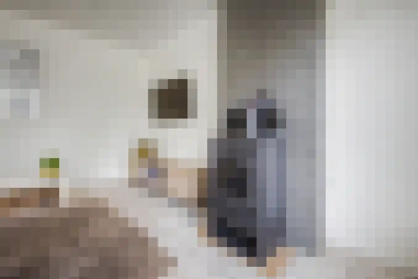Bovenweg 73 Sluiskil thumbnail 7