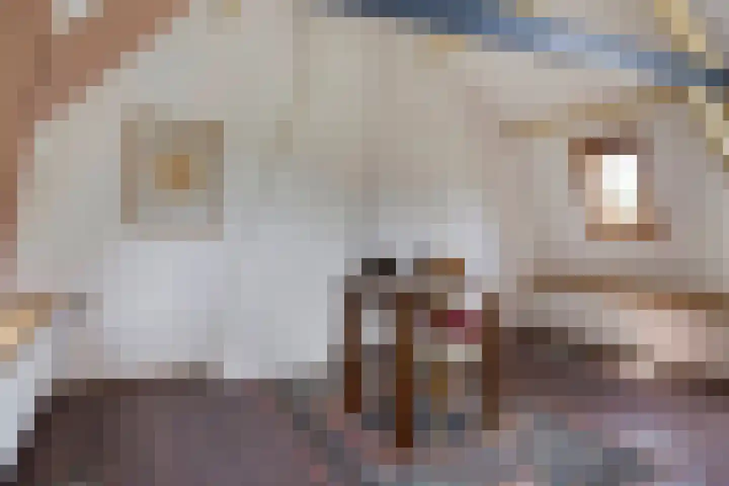 Bovenweg 76 Sluiskil thumbnail 10