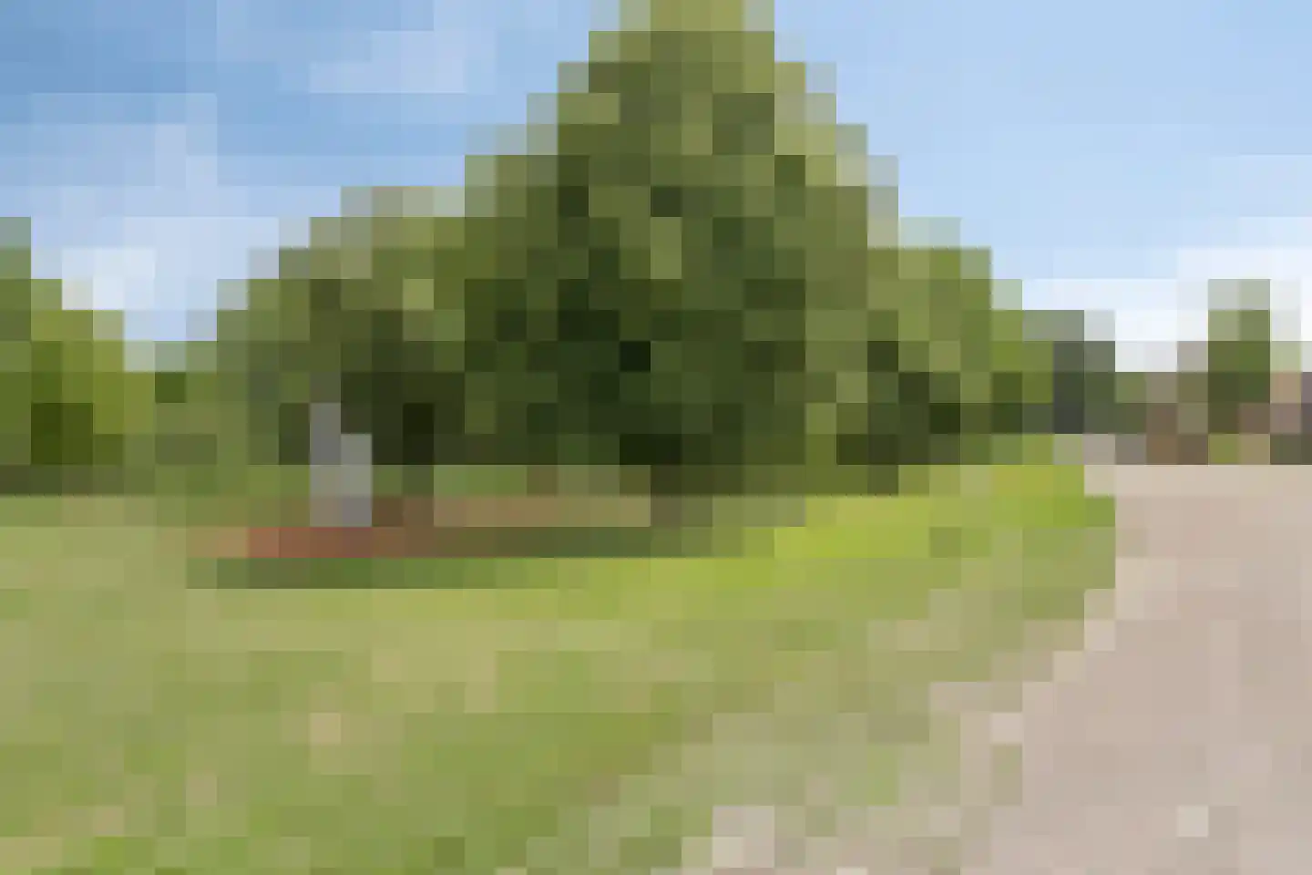 Bovenweg 76 Sluiskil thumbnail 22