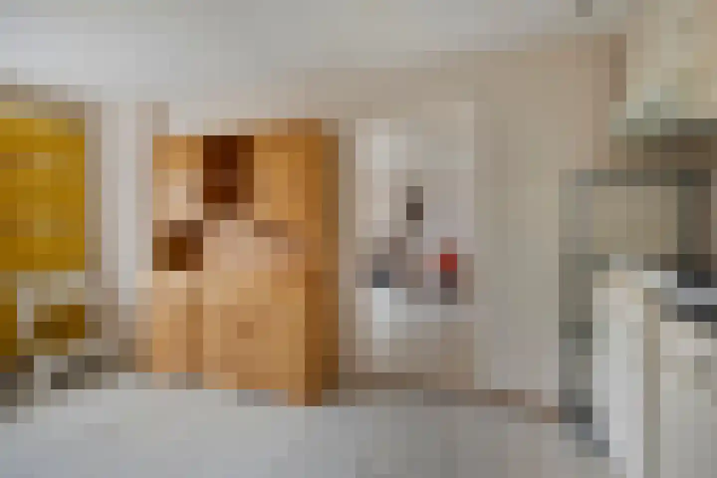 Bovenweg 76 Sluiskil thumbnail 8