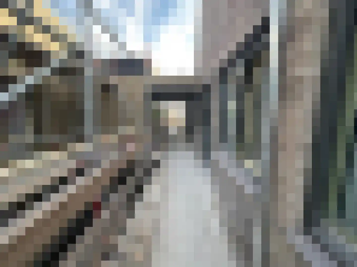 Bovenweg 77 Sint Pancras thumbnail 11