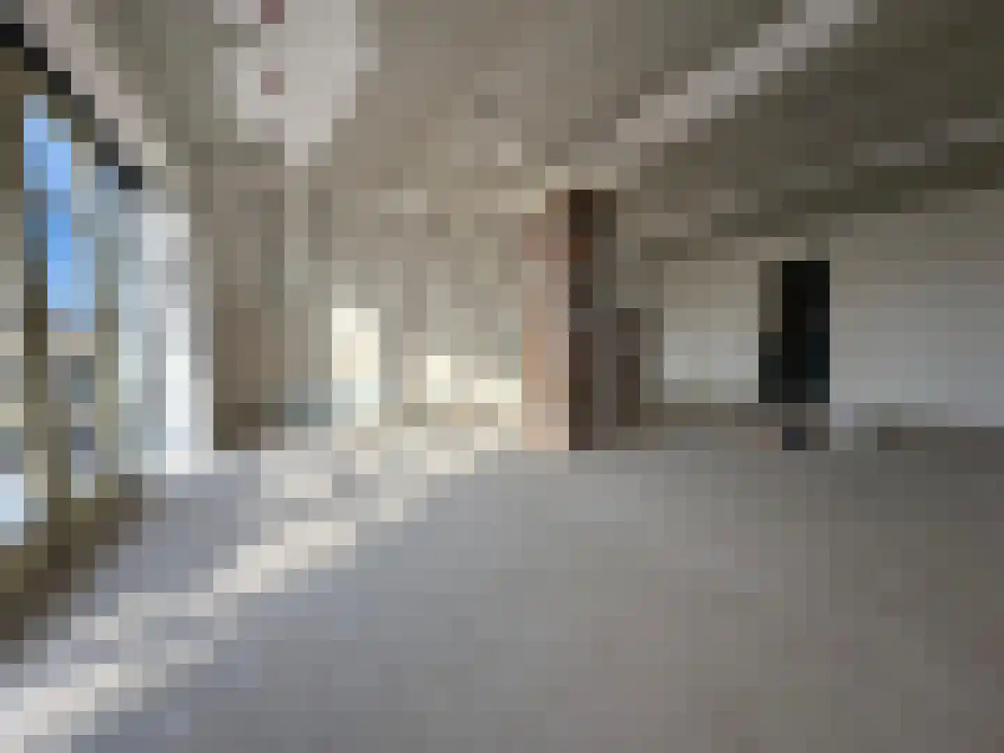Bovenweg 77 Sint Pancras thumbnail 5