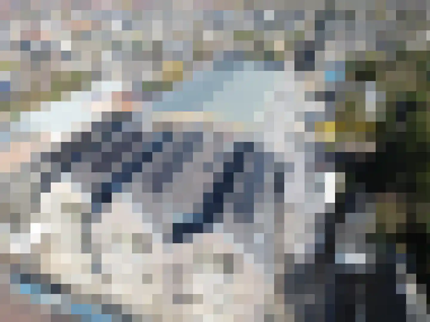 Bovenweg 77 Sint Pancras thumbnail 9