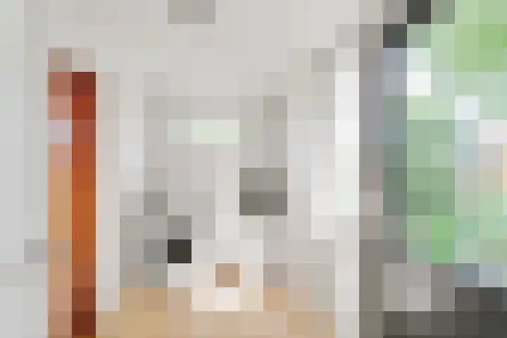 Bovenweg 88 A Doornspijk thumbnail 21