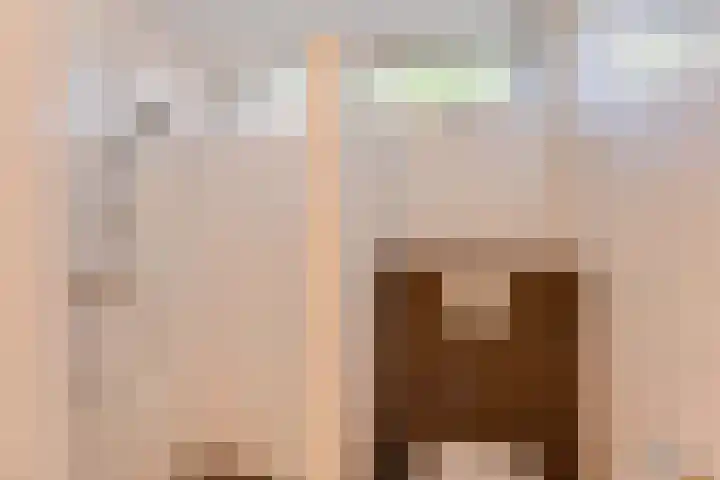 Bovenweg 88 A Doornspijk thumbnail 29