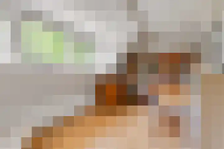 Bovenweg 88 A Doornspijk thumbnail 31