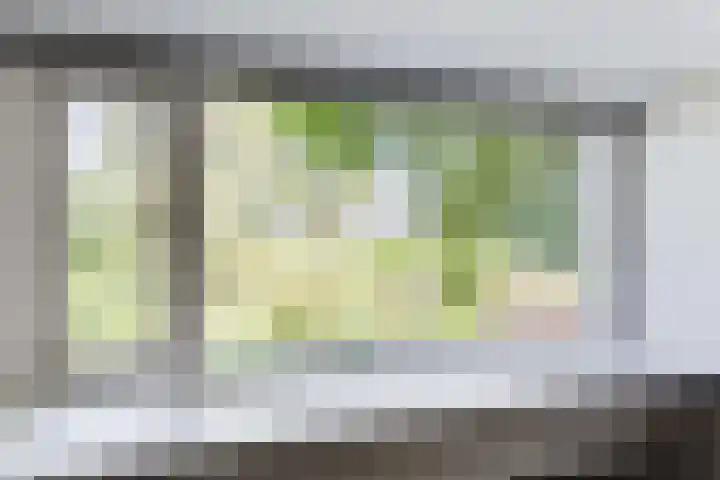 Bovenweg 88 A Doornspijk thumbnail 34