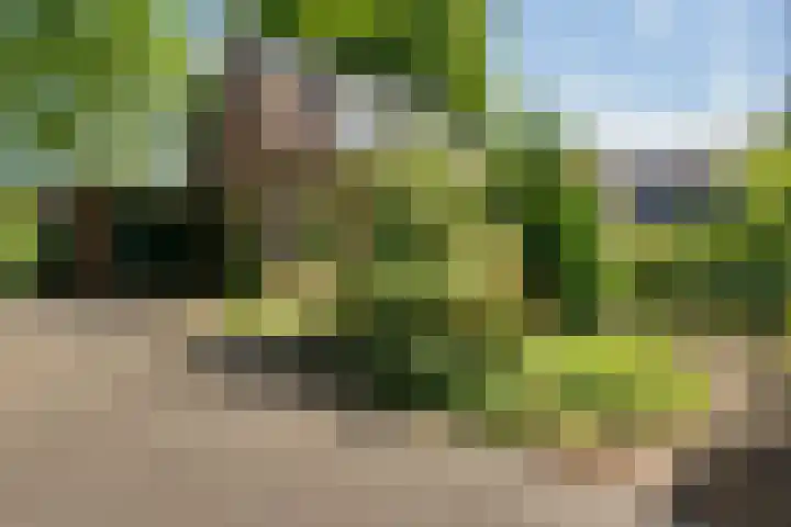 Bovenweg 88 A Doornspijk thumbnail 4