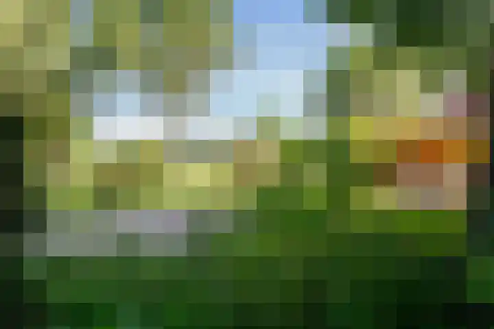 Bovenweg 88 A Doornspijk thumbnail 43