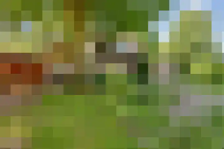 Bovenweg 88 A Doornspijk thumbnail 45