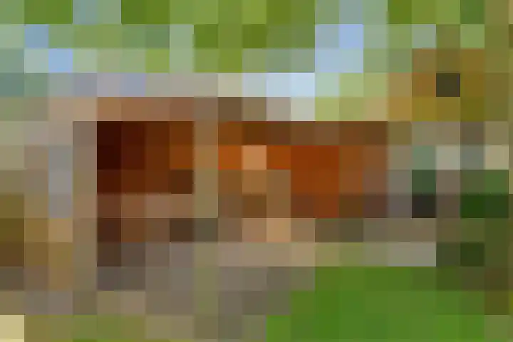 Bovenweg 88 A Doornspijk thumbnail 46