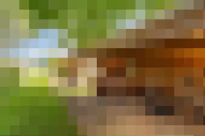 Bovenweg 88 A Doornspijk thumbnail 47