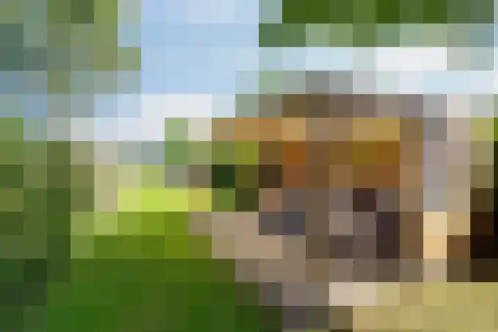 Bovenweg 88 A Doornspijk thumbnail 48