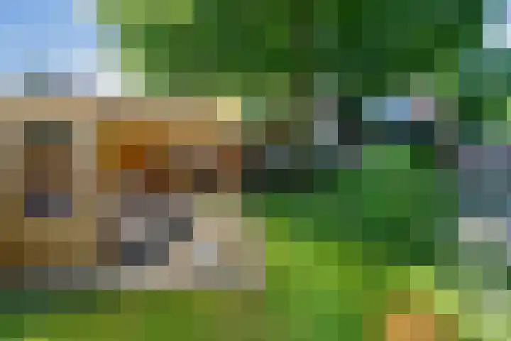 Bovenweg 88 A Doornspijk thumbnail 49