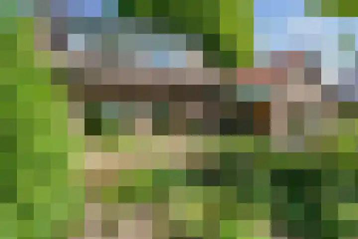 Bovenweg 88 A Doornspijk thumbnail 5