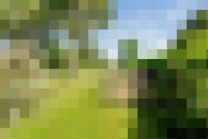 Bovenweg 88 A Doornspijk thumbnail 50