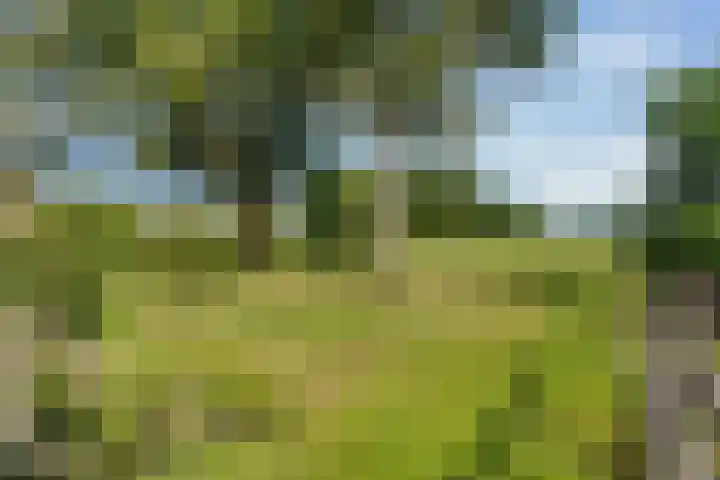 Bovenweg 88 A Doornspijk thumbnail 51