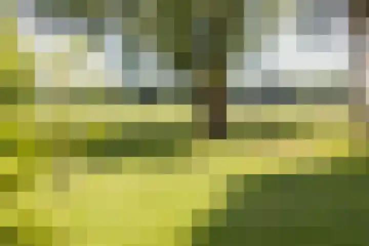 Bovenweg 88 A Doornspijk thumbnail 52