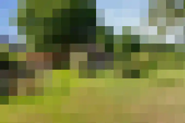 Bovenweg 88 A Doornspijk thumbnail 53