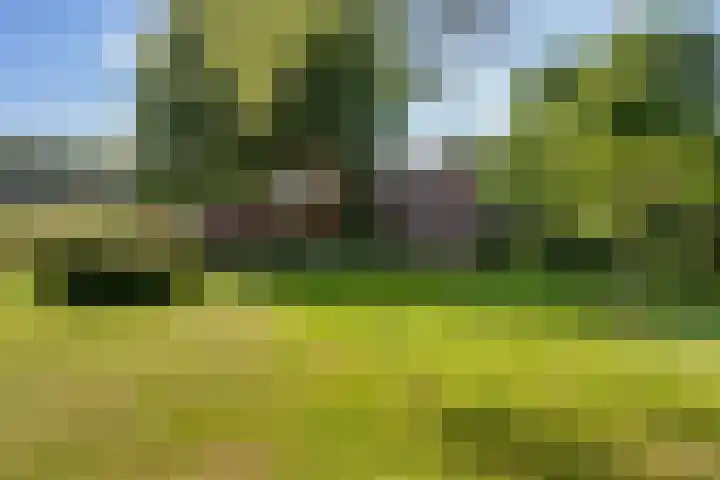 Bovenweg 88 A Doornspijk thumbnail 54