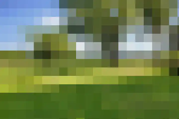 Bovenweg 88 A Doornspijk thumbnail 55