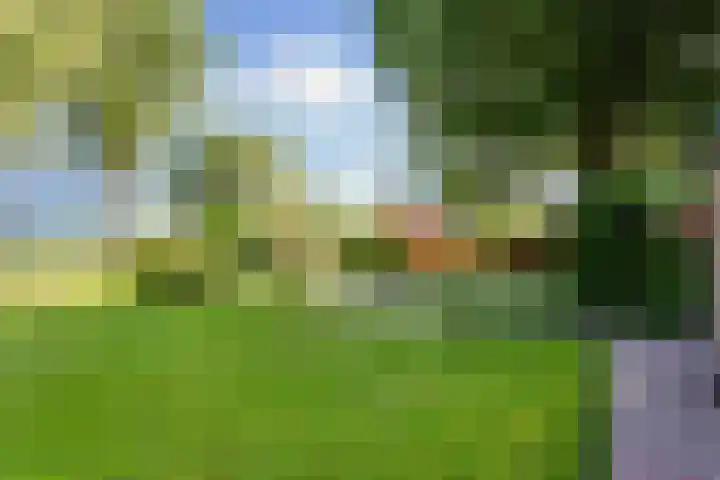 Bovenweg 88 A Doornspijk thumbnail 56