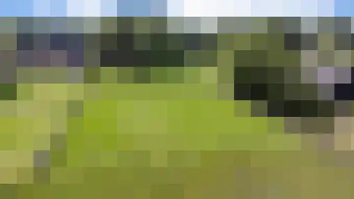 Bovenweg 88 A Doornspijk thumbnail 57
