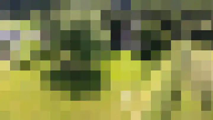 Bovenweg 88 A Doornspijk thumbnail 58
