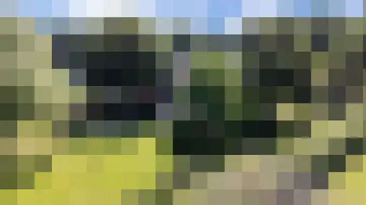 Bovenweg 88 A Doornspijk thumbnail 59