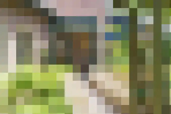 Bovenweg 88 A Doornspijk thumbnail 6