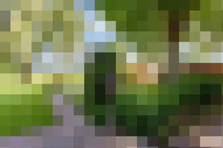 Bovenweg 88 A Doornspijk thumbnail 60