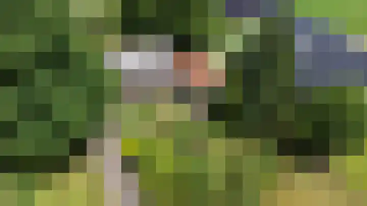 Bovenweg 88 A Doornspijk thumbnail 61
