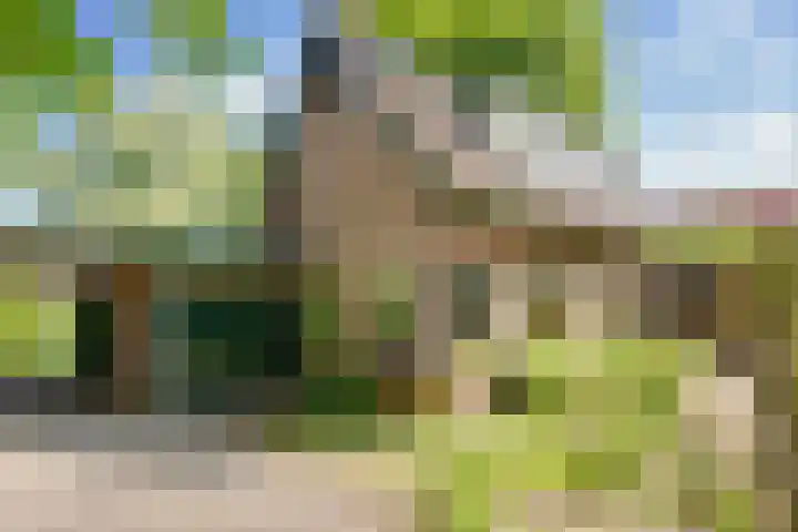 Bovenweg 88 A Doornspijk thumbnail 62