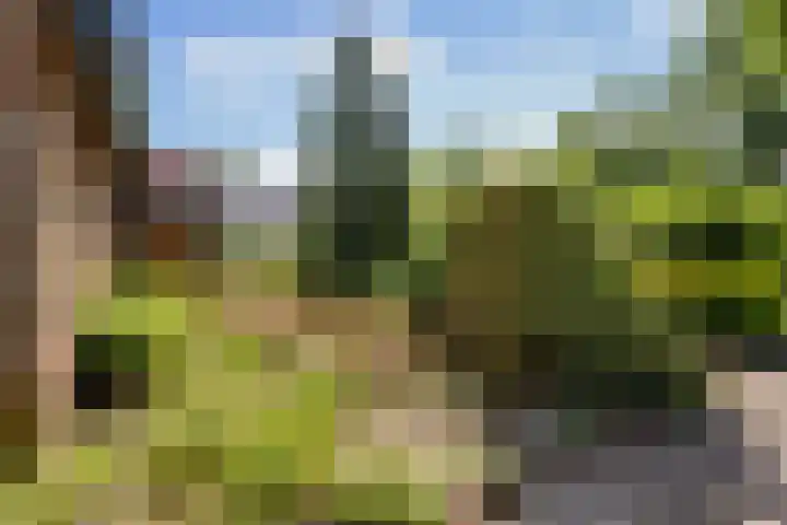 Bovenweg 88 A Doornspijk thumbnail 64