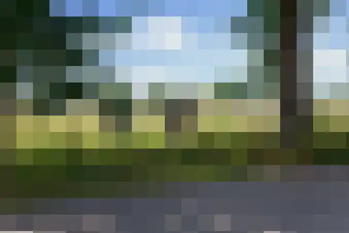 Bovenweg 88 A Doornspijk thumbnail 65