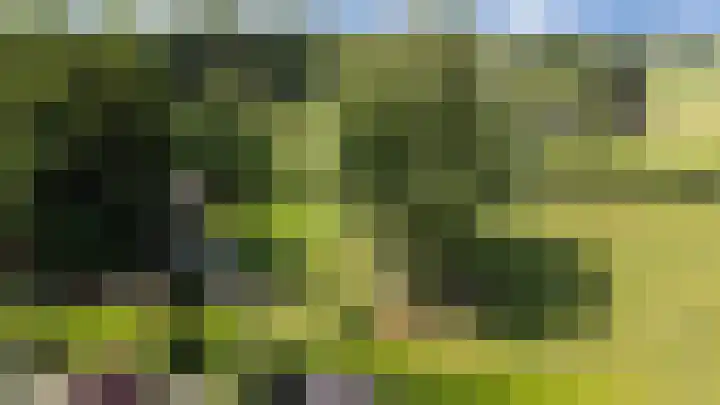 Bovenweg 88 A Doornspijk thumbnail 67