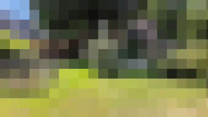 Bovenweg 88 A Doornspijk thumbnail 68