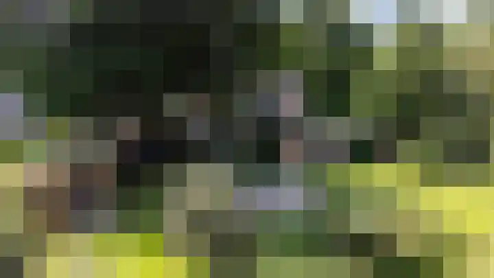 Bovenweg 88 A Doornspijk thumbnail 69